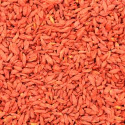 Goji bessen (BIO)